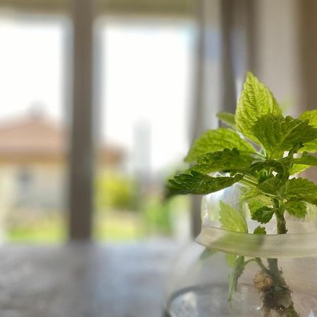 Apartmenthaus Lütt Meer Ludorf Buitenkant foto