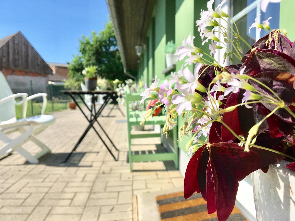 Apartmenthaus Lütt Meer Ludorf Buitenkant foto
